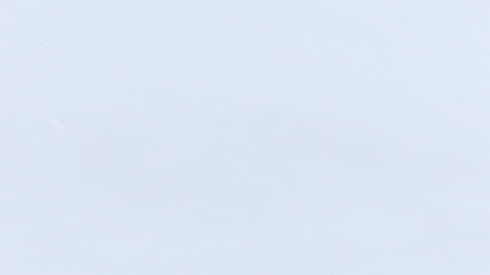 white background